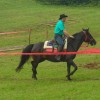 tekmovanje_2011_194.jpg
