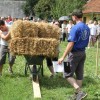 img_2588.jpg