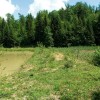 img_1516.jpg