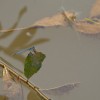 img_1174.jpg