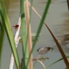 img_1169.jpg