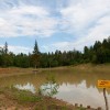 img_1176.jpg