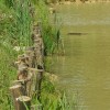 img_1549.jpg