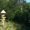 img_1222.jpg