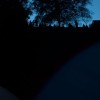 sengenfest_016.jpg