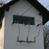 elektro.jpg