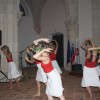 kostanjevica_praznik__8_.jpg