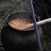 pasulj_020.jpg