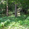 img_1286.jpg