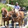 img_9262.jpg