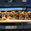 met_krompirja_2011_04.jpg