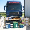 met_krompirja_2011_03.jpg
