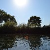 dsc_0186_000.jpg