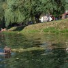 dsc_0180_000.jpg