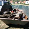 potapljaci_058.jpg