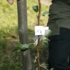 kozjanski_park_podaril_vinogradovko020.jpg