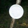 kozjanski_park_podaril_vinogradovko029.jpg