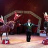 cirkus_059.jpg