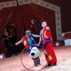 cirkus_056.jpg