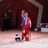 cirkus_052.jpg