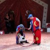 cirkus_055.jpg