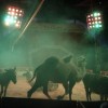 cirkus_045.jpg