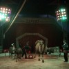 cirkus_050.jpg