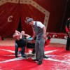 cirkus_080.jpg