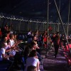 cirkus_033.jpg