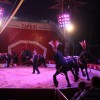 cirkus_032.jpg