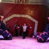 cirkus_036.jpg