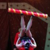 cirkus_068.jpg