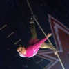 cirkus_040.jpg