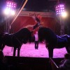 cirkus_035.jpg