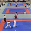 photogallery_658.jpg