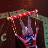 cirkus_069.jpg