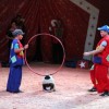 cirkus_054.jpg