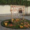 dscn1650.jpg