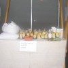 eko09.jpg
