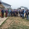 kostanjeva_konjenica_052_resize.jpg