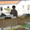 img_5440_000.jpg