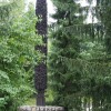 img_7445_prej.jpg