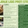 steklina.jpg