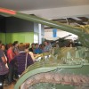 img_6183_000.jpg