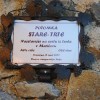 prva_trgatev_v_cvickovem_hramu_025.jpg
