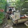 dobravive_2011_40_000.jpg