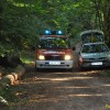 dobravive_2011_03_000.jpg