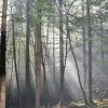 dobravive_2011_32_000.jpg