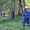 dobravive_2011_22_000.jpg