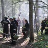 dobravive_2011_37_000.jpg